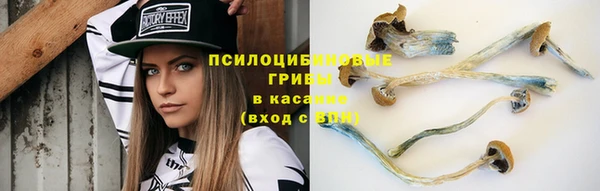 мяу мяу мука Арсеньев