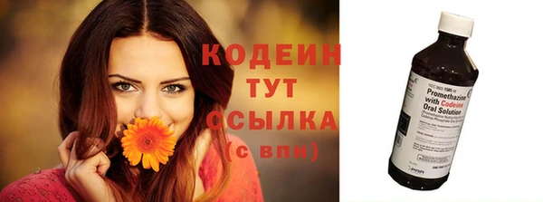 мяу мяу мука Арсеньев