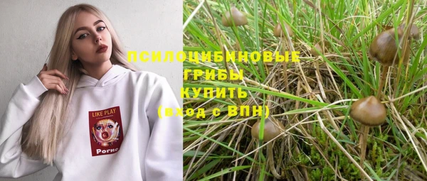 мяу мяу мука Арсеньев