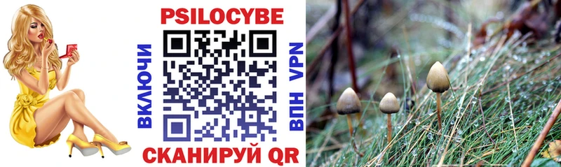 Псилоцибиновые грибы Cubensis  ссылка на мегу ссылка  Руза 